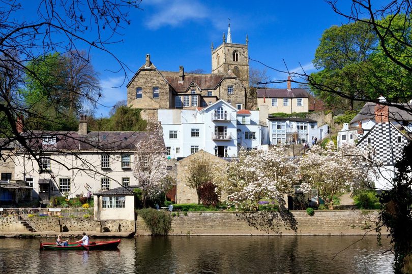 Rowers on a boat on the river, lined with houses blooming white flowers